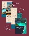 12.webp