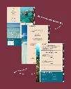 13.webp